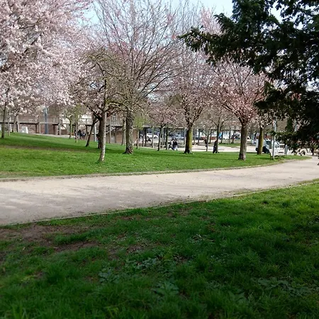 Urban Maghin