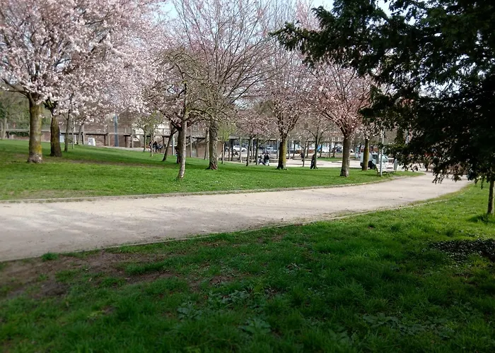 Urban Maghin